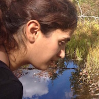 Nasim Rahmatpour